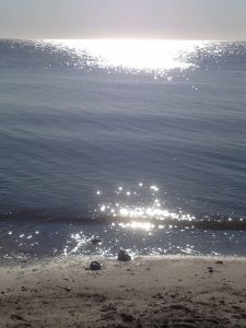 urlaubinberlin2016