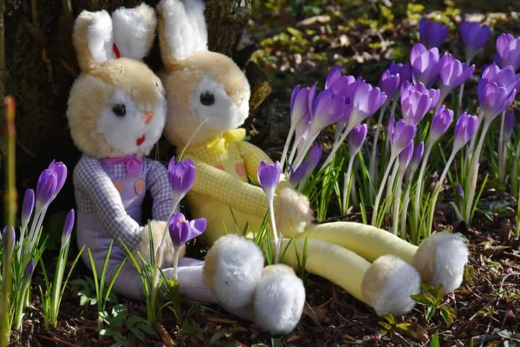 rabbits 2137741 1280 1024x683 - Jungschwuppen Mittwochsclub am 03.04.: Frühlings-Fever – Was der April bringt!