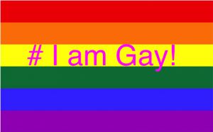rainbow 300x186 - Jungschwuppen Mittwochsclub am 15.06.2016: # I am Gay!